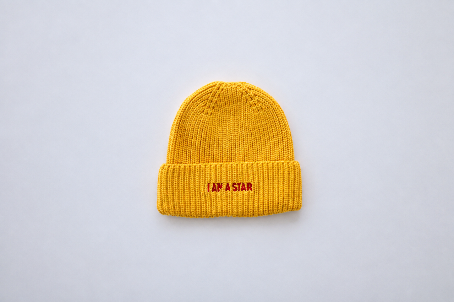 BSB Beanie