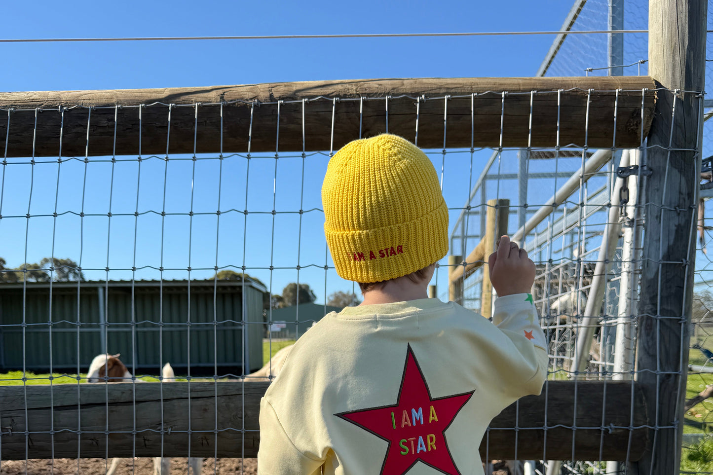 BSB Beanie